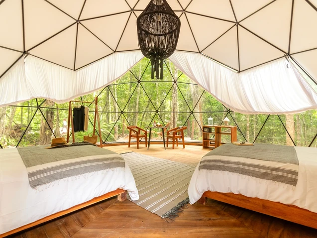 Interior view of the Jungle Dome Suite shared room